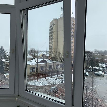 Apartament Viorela Alba Iulia Buitenkant foto