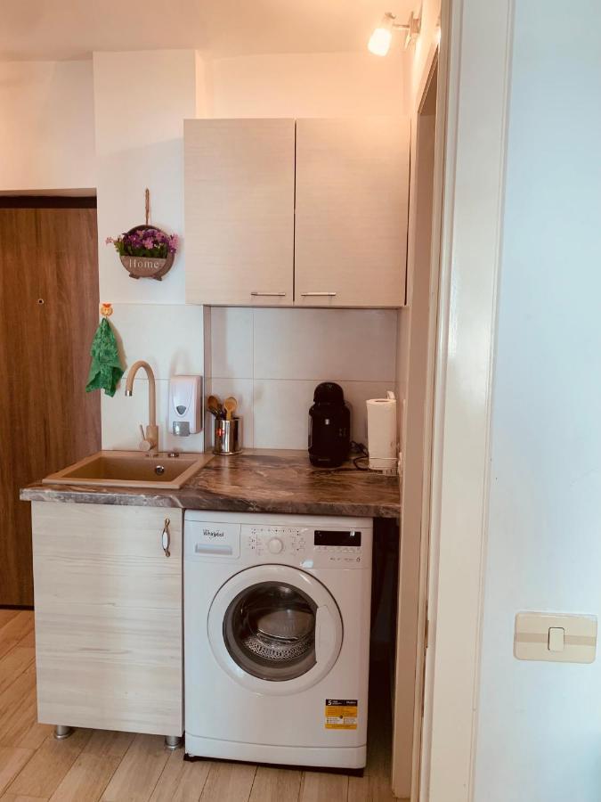 Apartament Viorela Alba Iulia Buitenkant foto